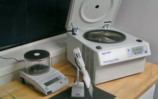 MINOLTA DIGITAL CAMERA quality